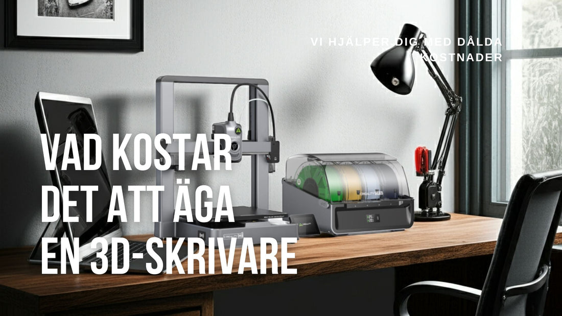Vad kostar det egentligen att äga en 3D-skrivare?