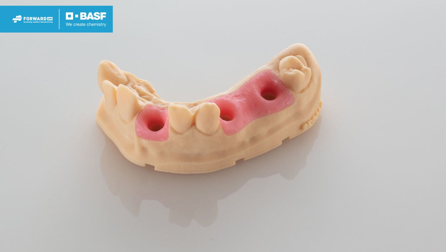 BASF Ultracur3D DM 2304 Gingiva Mask - 1 kg