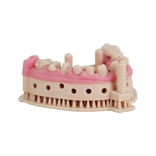 Liqcreate Dental Model Pro Beige