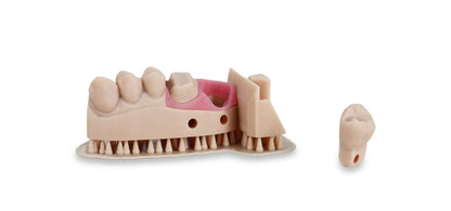 Liqcreate Dental Model Pro Beige