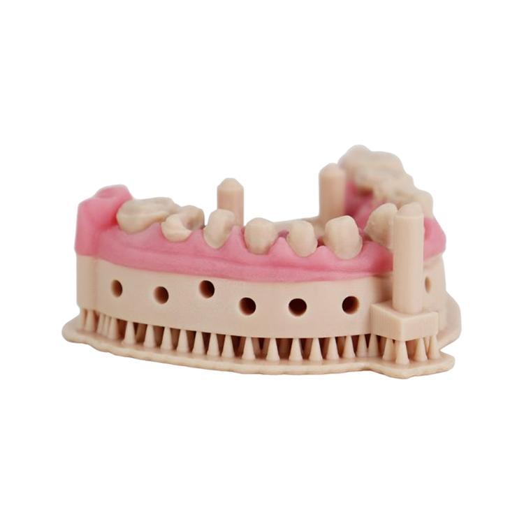 Liqcreate Dental Model Pro Beige