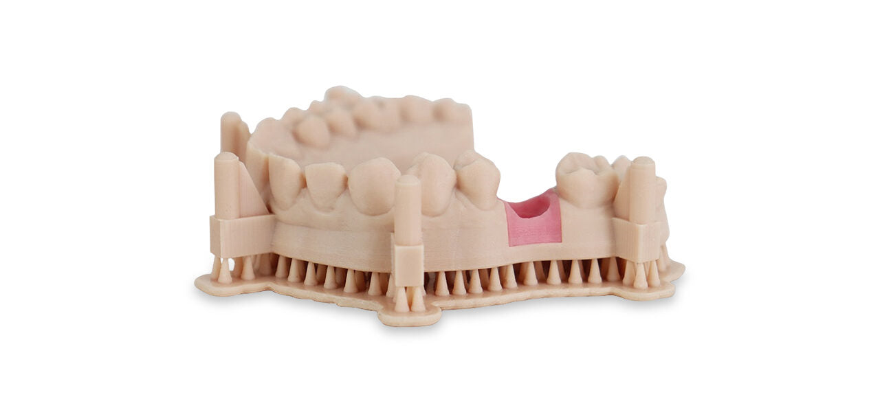 Liqcreate Dental Model Pro Beige
