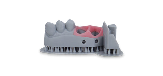 Liqcreate Dental Model Pro Grey