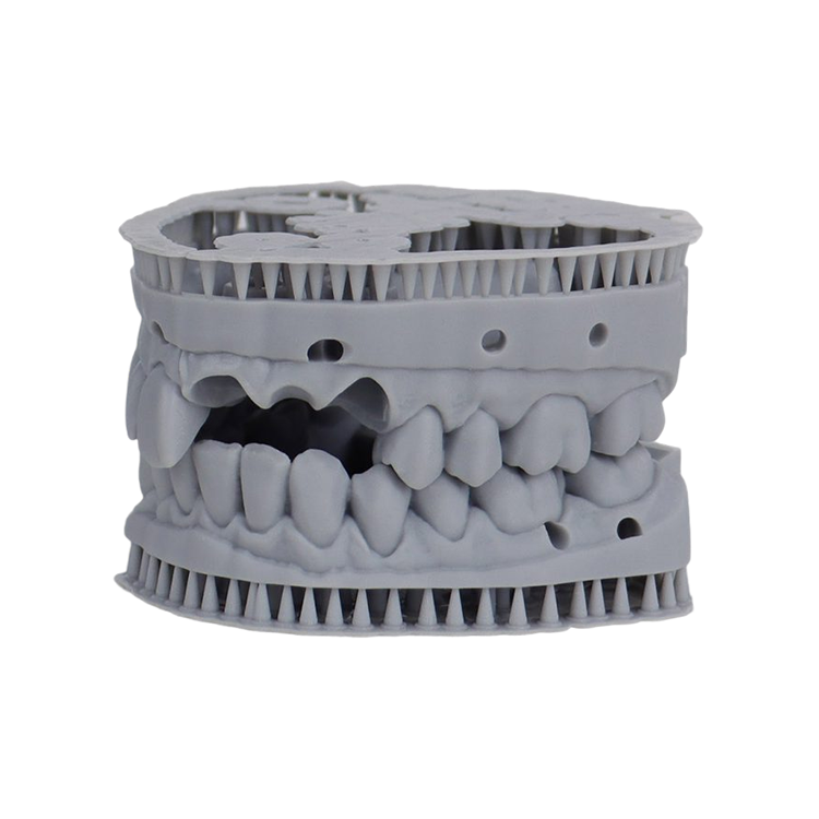 Liqcreate Dental Model Pro Grey