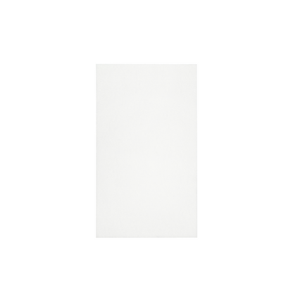 Beam Air Pro Pre-filter(4pcs/set)