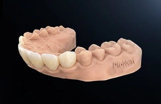 PioCreat PioNext Mini